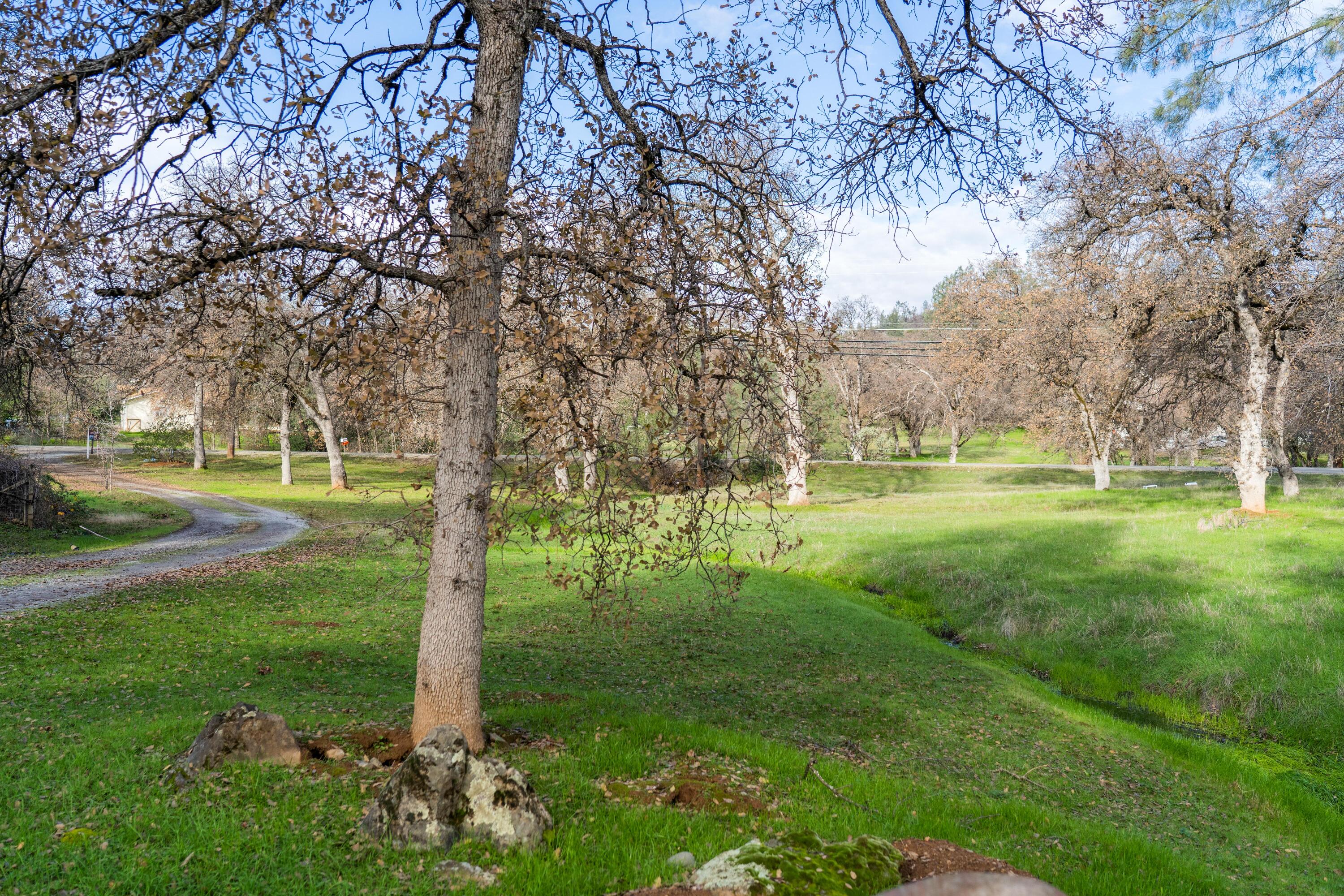 9397 Placer Road Redding, CA 96001 - Photo 8 of 14 HARRISONM-7