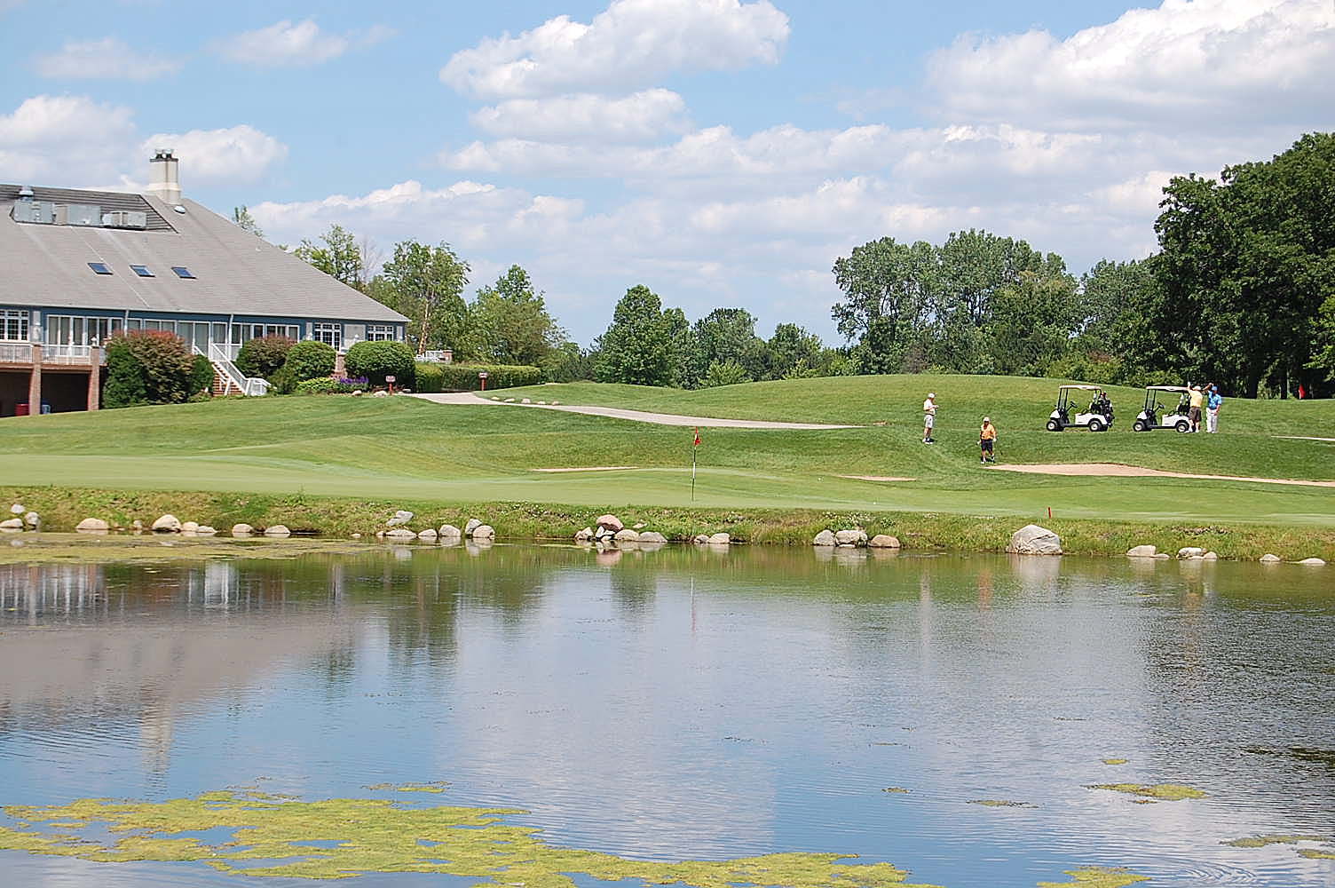 65 Ruffled Feathers Drive Lemont, IL 60439 - Photo 44 of 44 a view of a lake with houses in the background