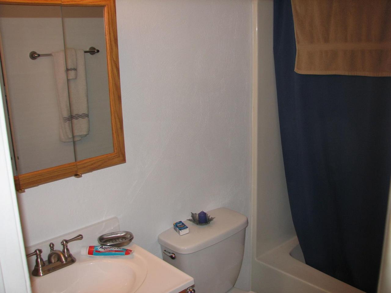 637 Arch Mill Road Buchanan, VA 24066 - Photo 8 of 9 bathroom