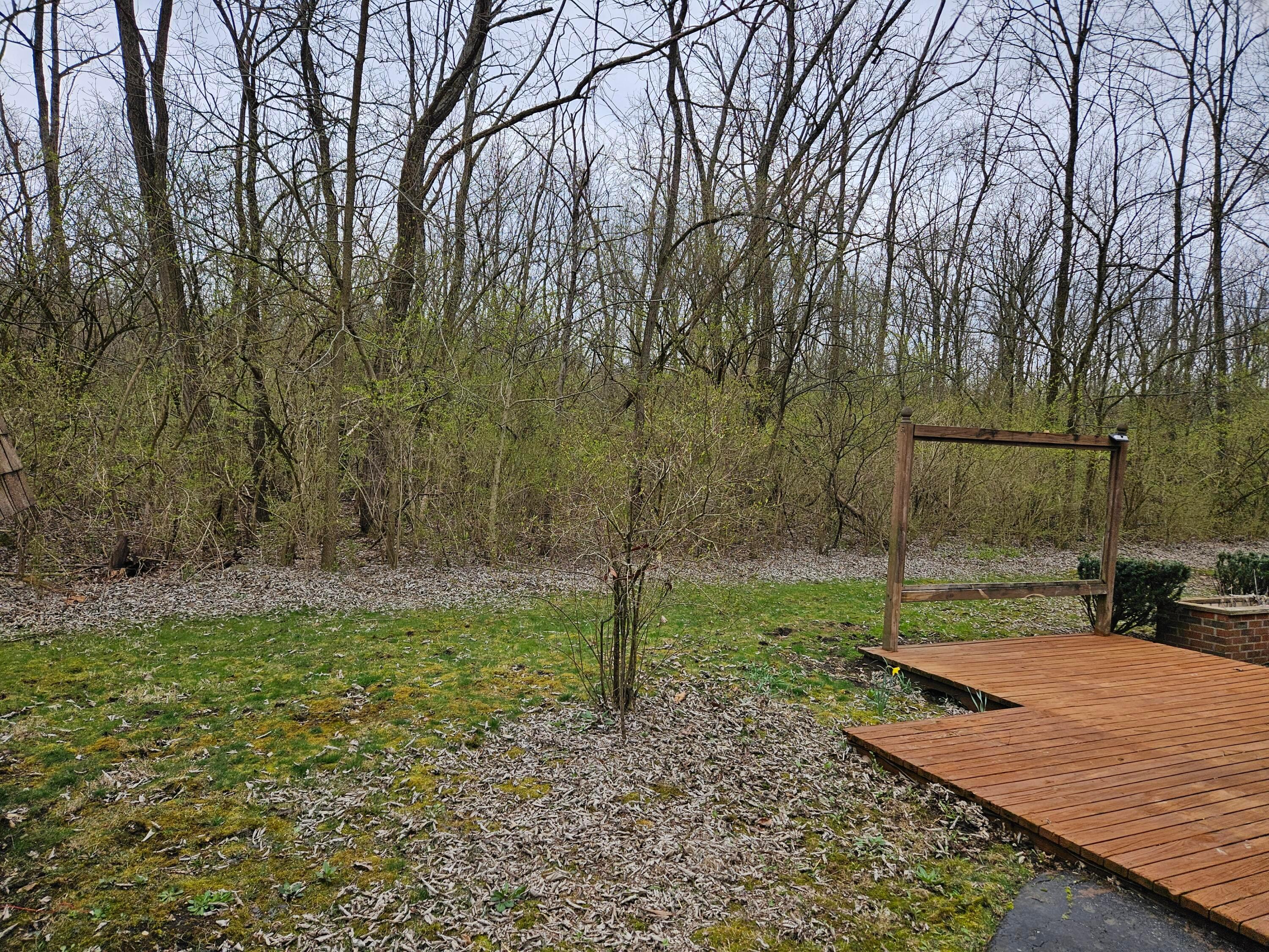4801 Chapman Road Delaware, OH 43015 - Photo 12 of 51 Chapman back to deck