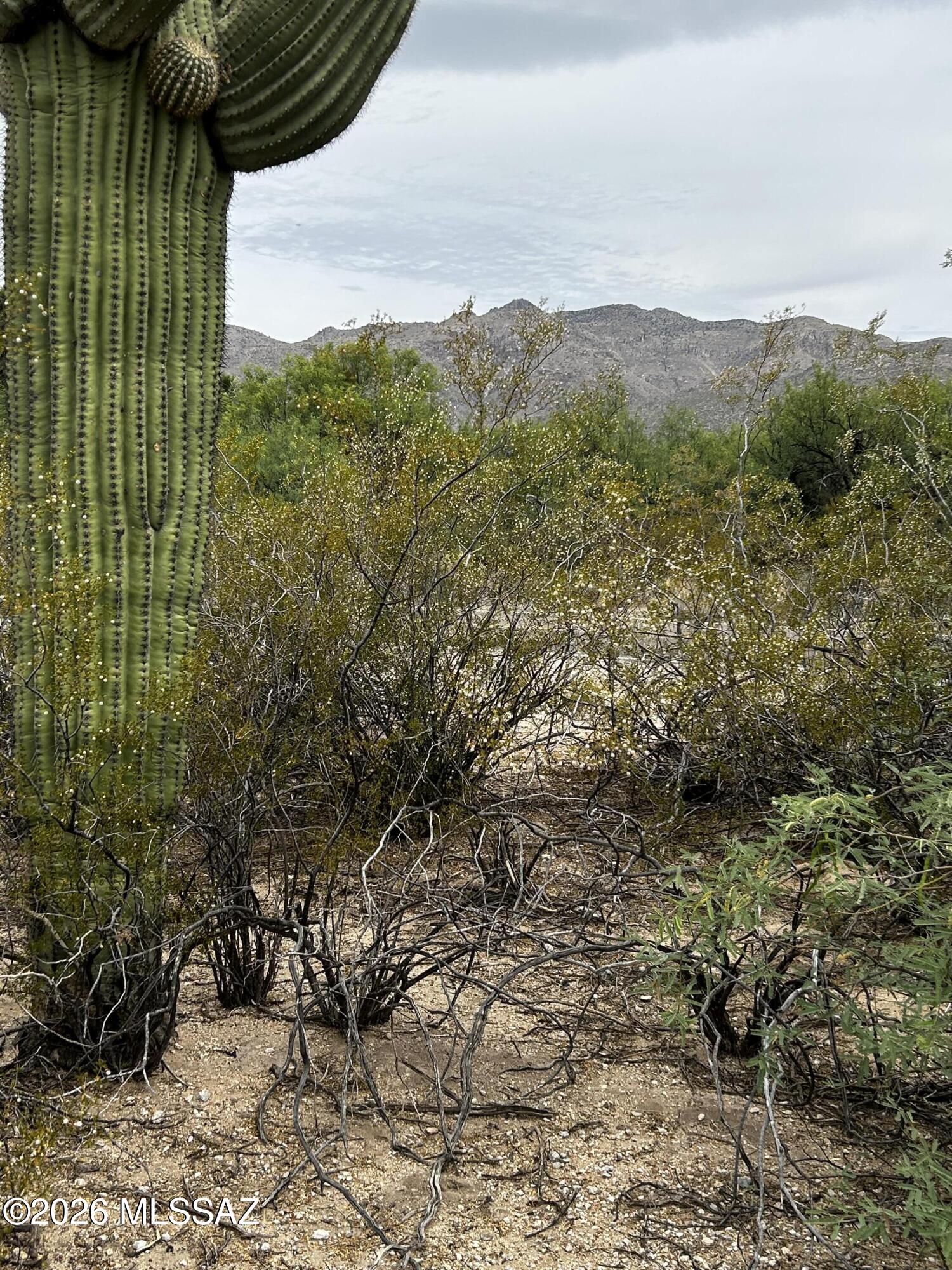 East Roger Road, Unit 46 Tucson, AZ 85749 - Photo 7 of 38