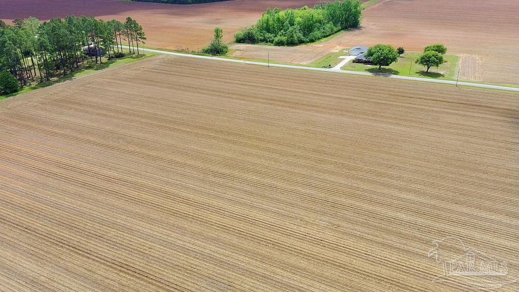 3 A Mineral Springs Road Jay, FL 32565 - Photo 2 of 22