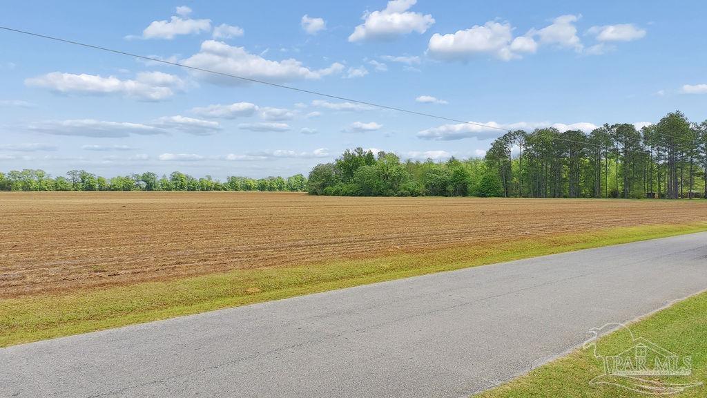 3 A Mineral Springs Road Jay, FL 32565 - Photo 8 of 22