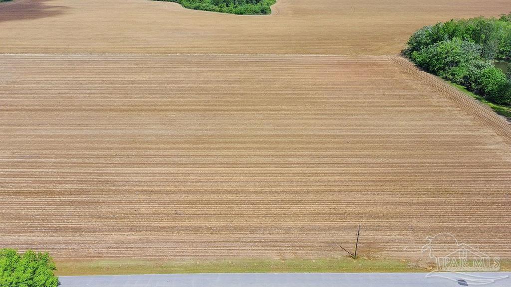 3 A Mineral Springs Road Jay, FL 32565 - Photo 9 of 22