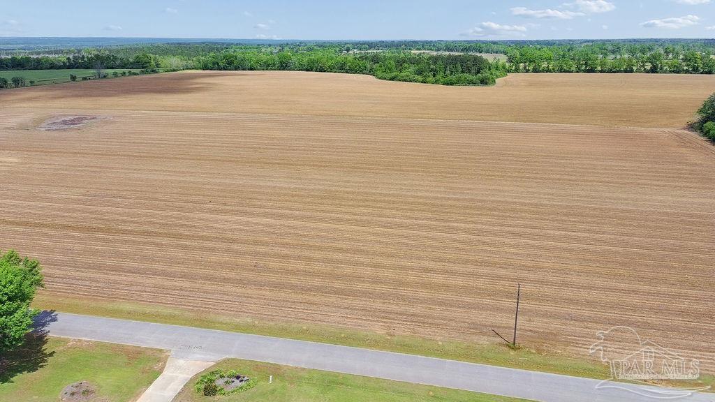 3 A Mineral Springs Road Jay, FL 32565 - Photo 10 of 22