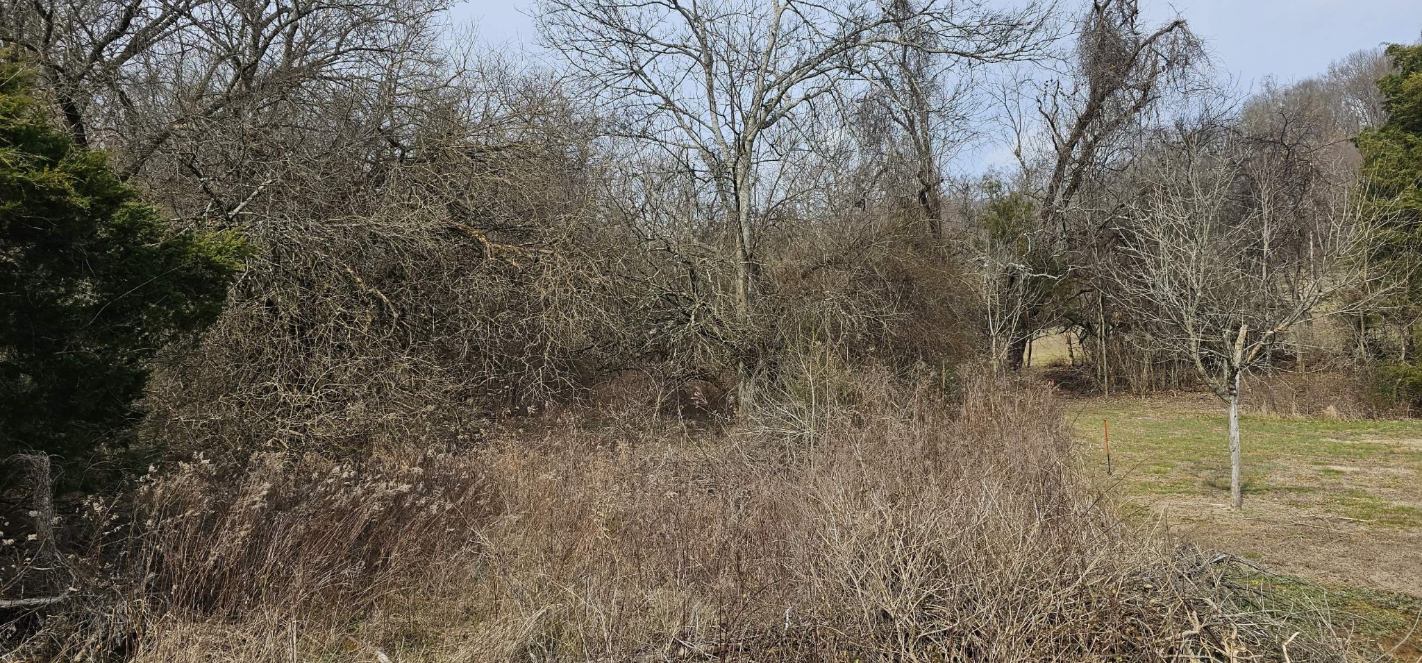 11 Center Point Road Hendersonville, TN 37075 - Photo 1 of 1 a view of a yard