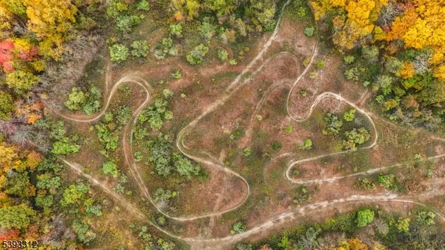 a view of a lush green forest with lots of trees