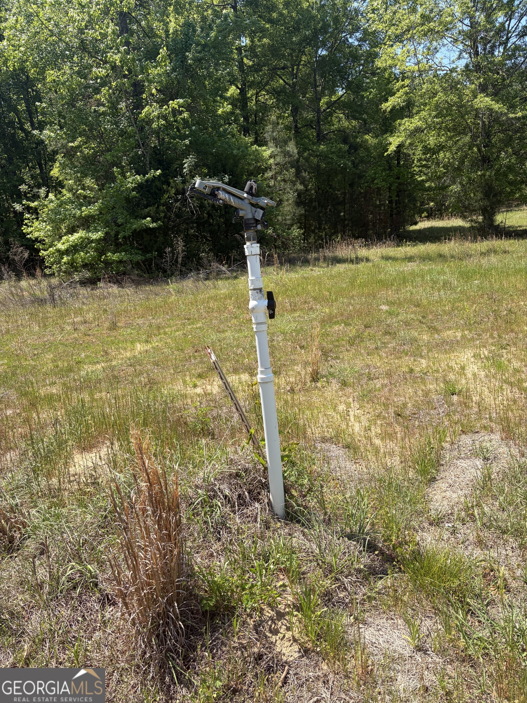3841 Wilson Road Davisboro, GA 31018 - Photo 35 of 37 a fire hydrant in the middle of a field