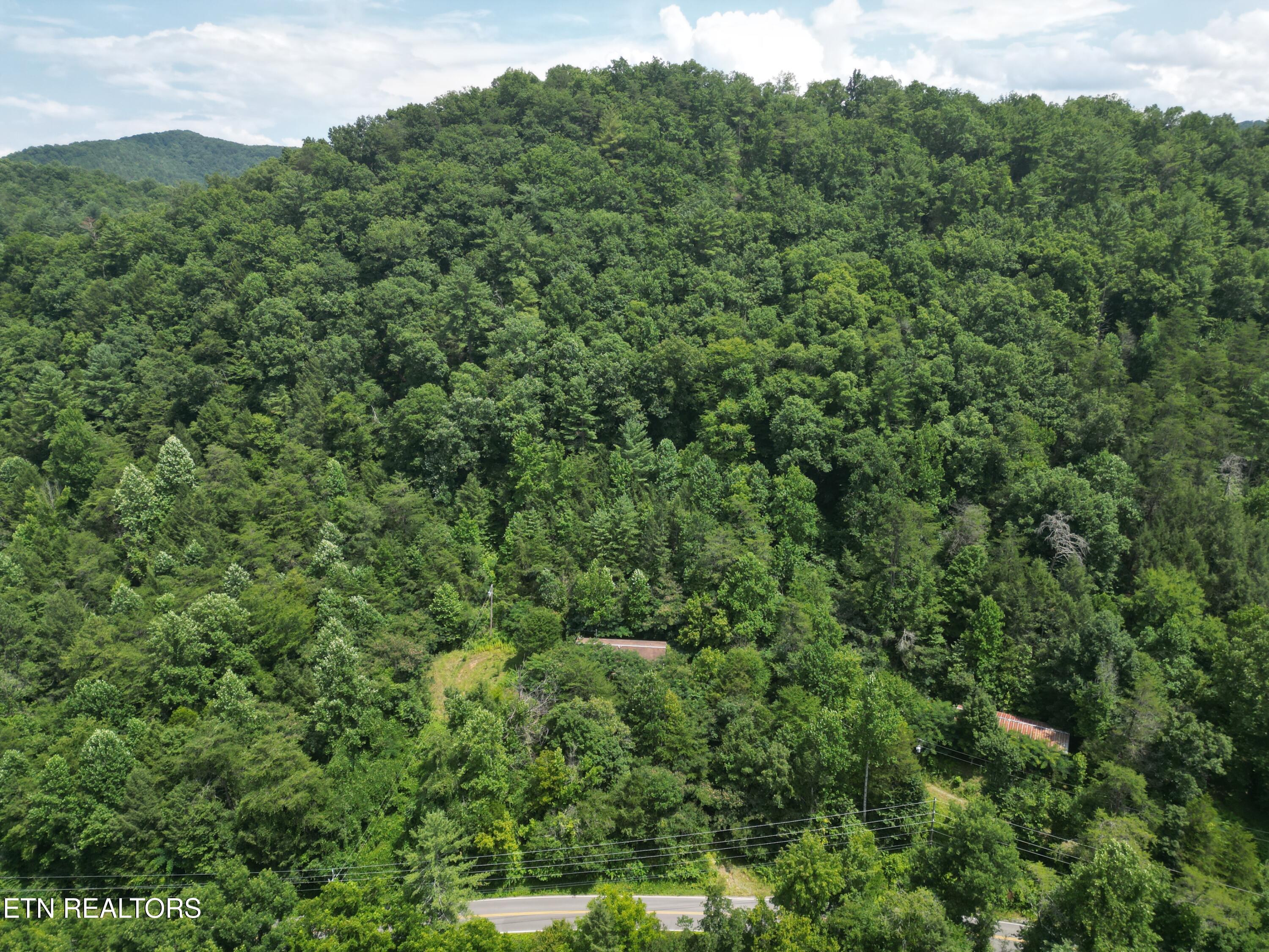 3576 Wilhite Road Pigeon Forge, TN 37876 - Photo 2 of 13 Wilhite 1