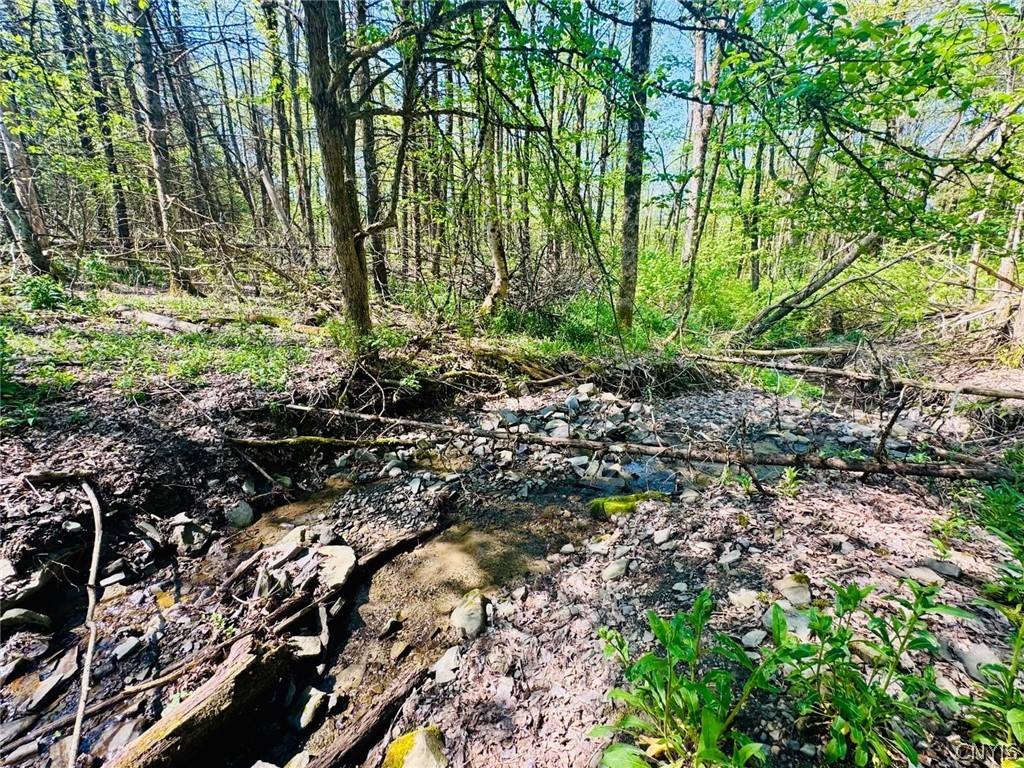 Dog Hollow Road Truxton, NY 13158 - Photo 3 of 9