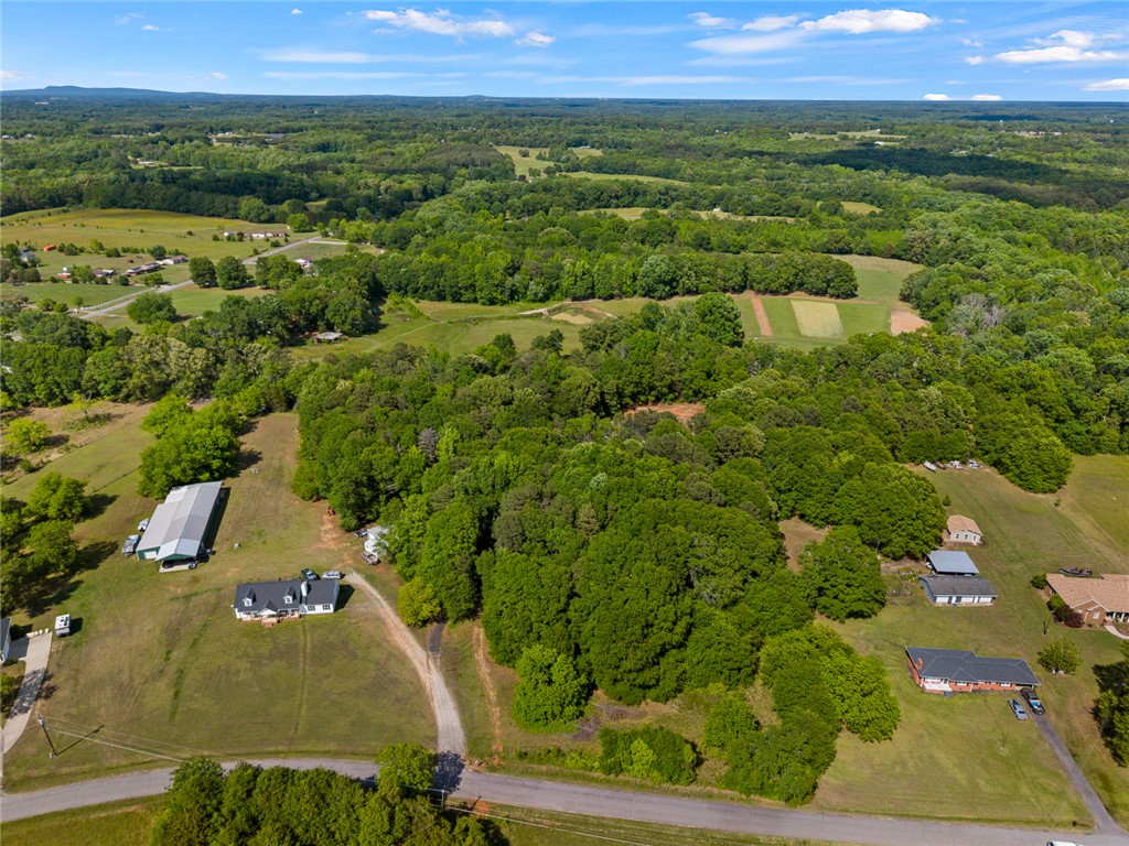 131 Lockaby Road Pelzer, SC 29669 - Photo 48 of 50 Expansive acreage provides a verdant canvas for your vision, surrounded by nature's tranquility.