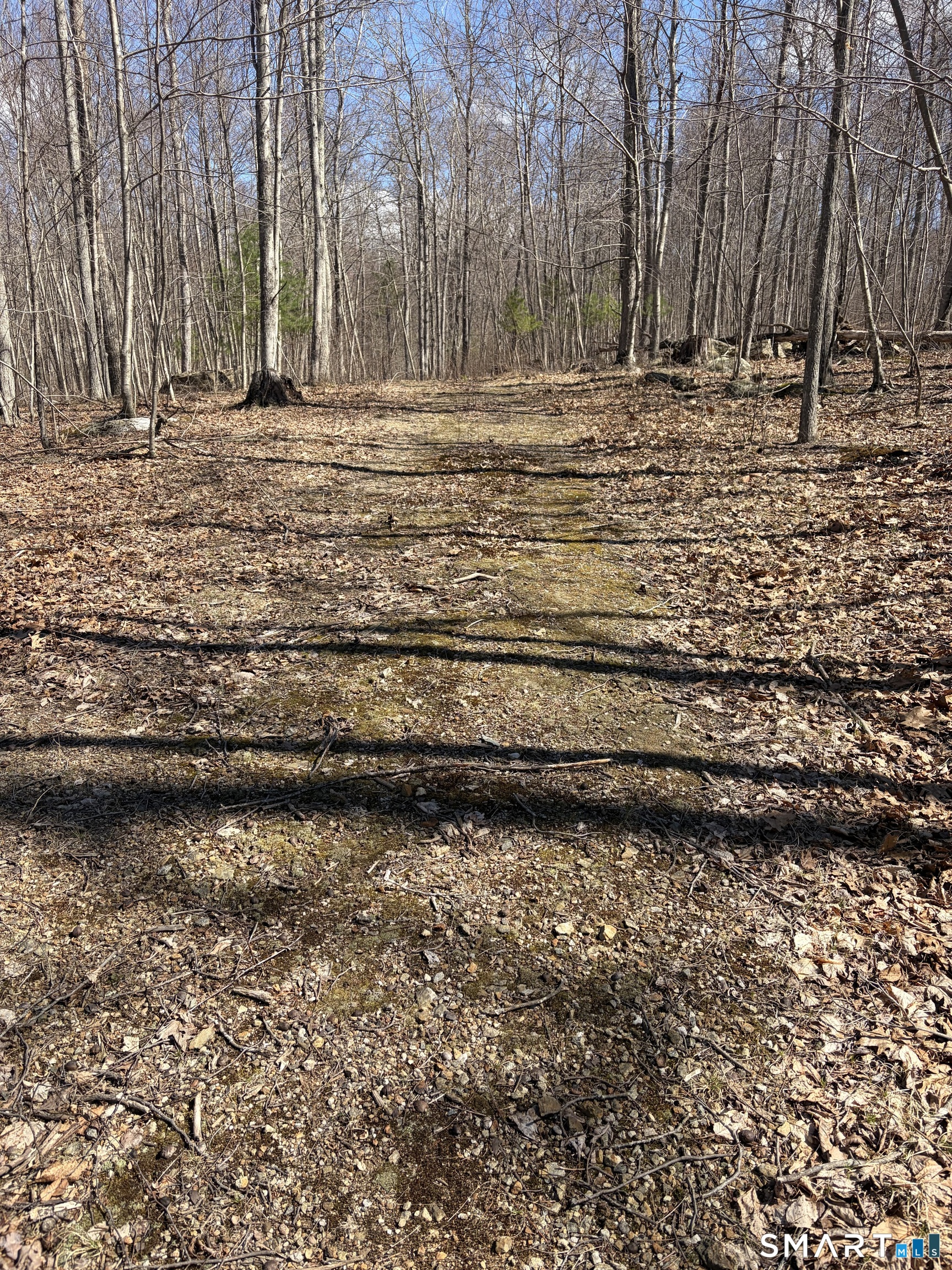 Willington Hill Road Willington, CT 06279 - Photo 2 of 4