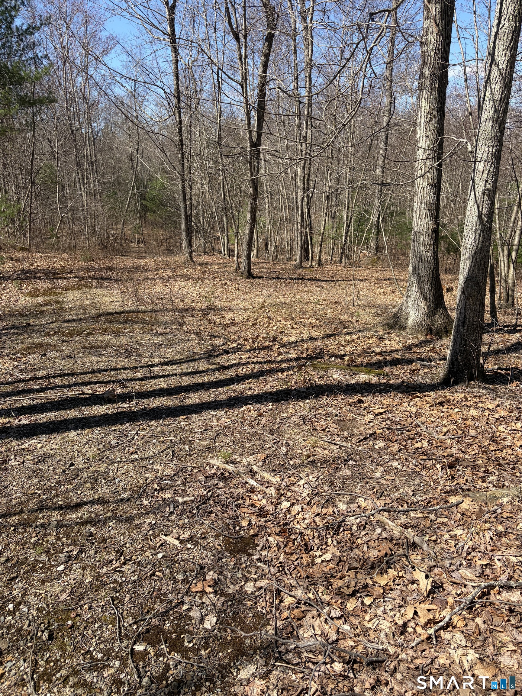 Willington Hill Road Willington, CT 06279 - Photo 3 of 4