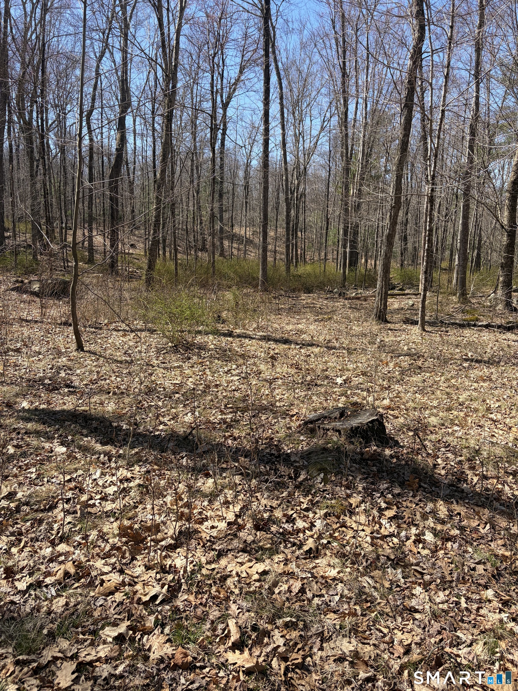 Willington Hill Road Willington, CT 06279 - Photo 4 of 4