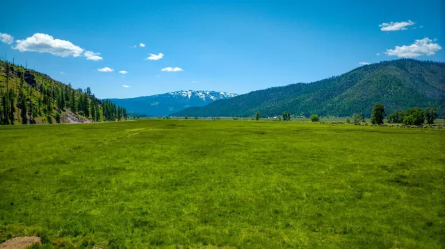 a view of an ocean from a yard