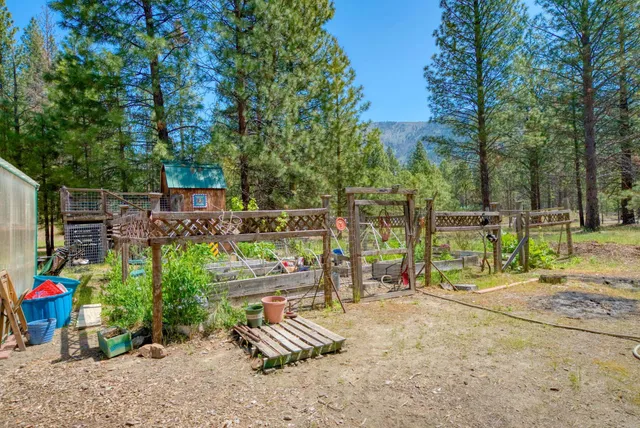 a view of a back yard with a house