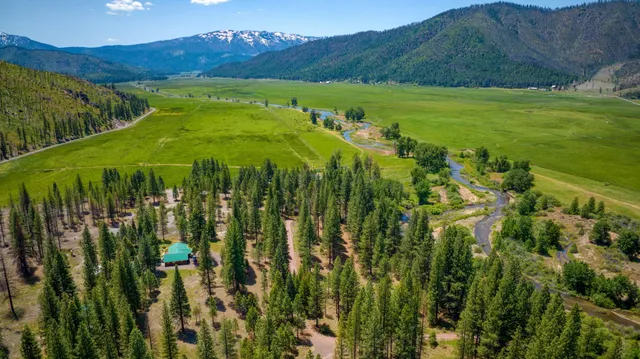 a view of a lush green hillside and a houses