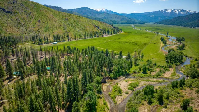 a view of a big yard with large trees