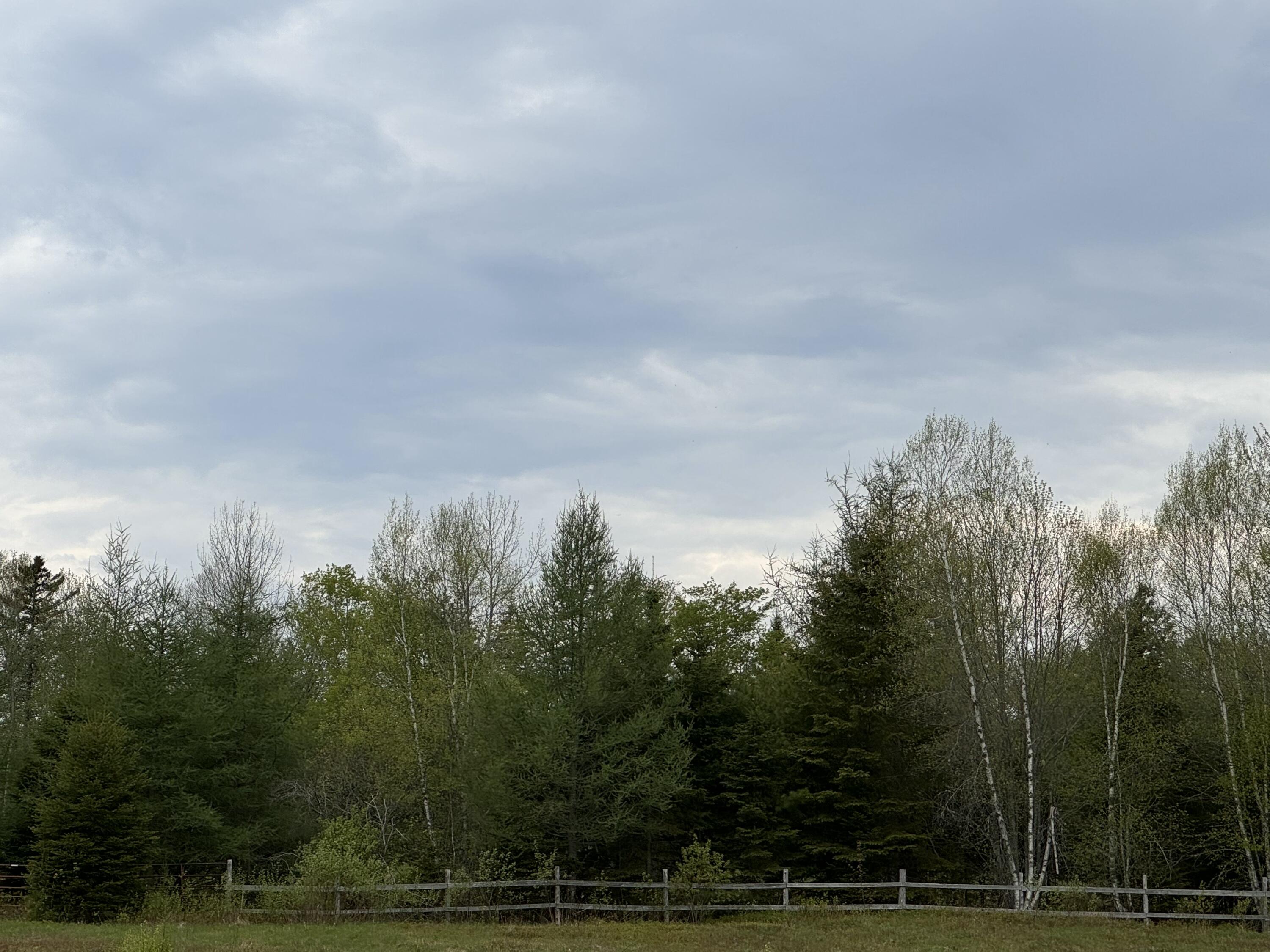 156 North Union Road Cooper, ME 04657 - Photo 4 of 4 IMG_4600