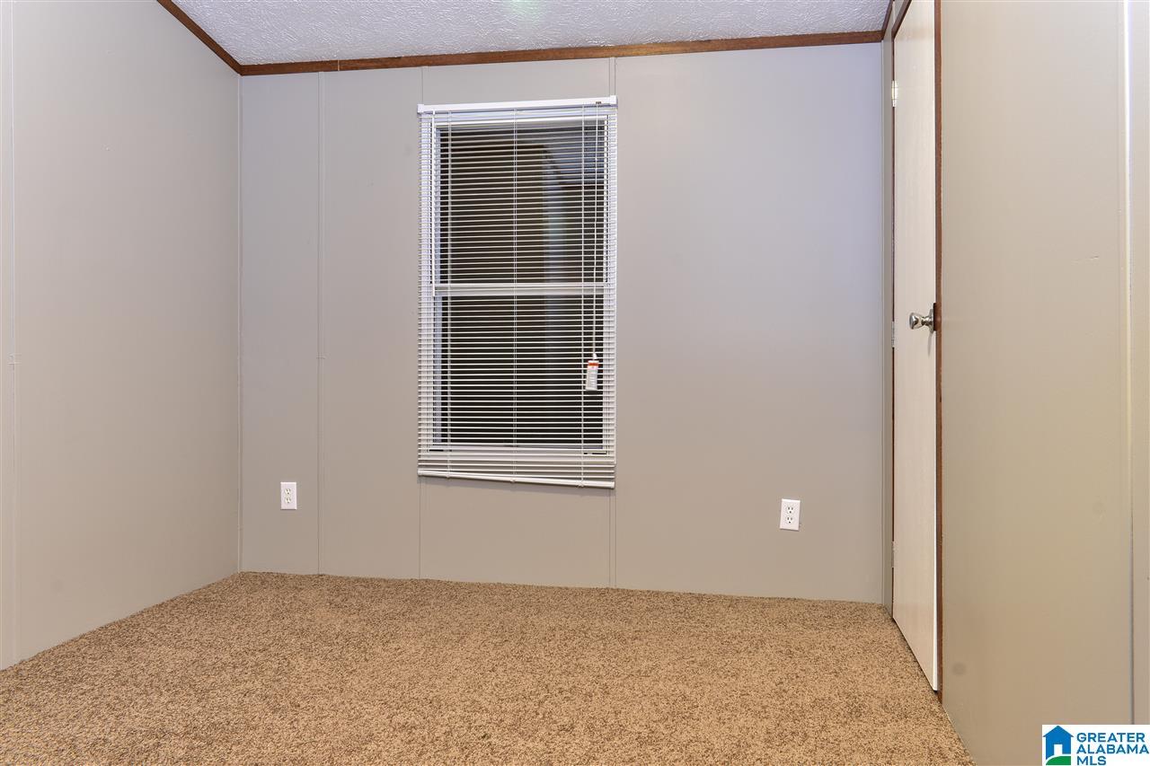 3873 Possum Trot Road Piedmont, AL 36272 - Photo 22 of 22