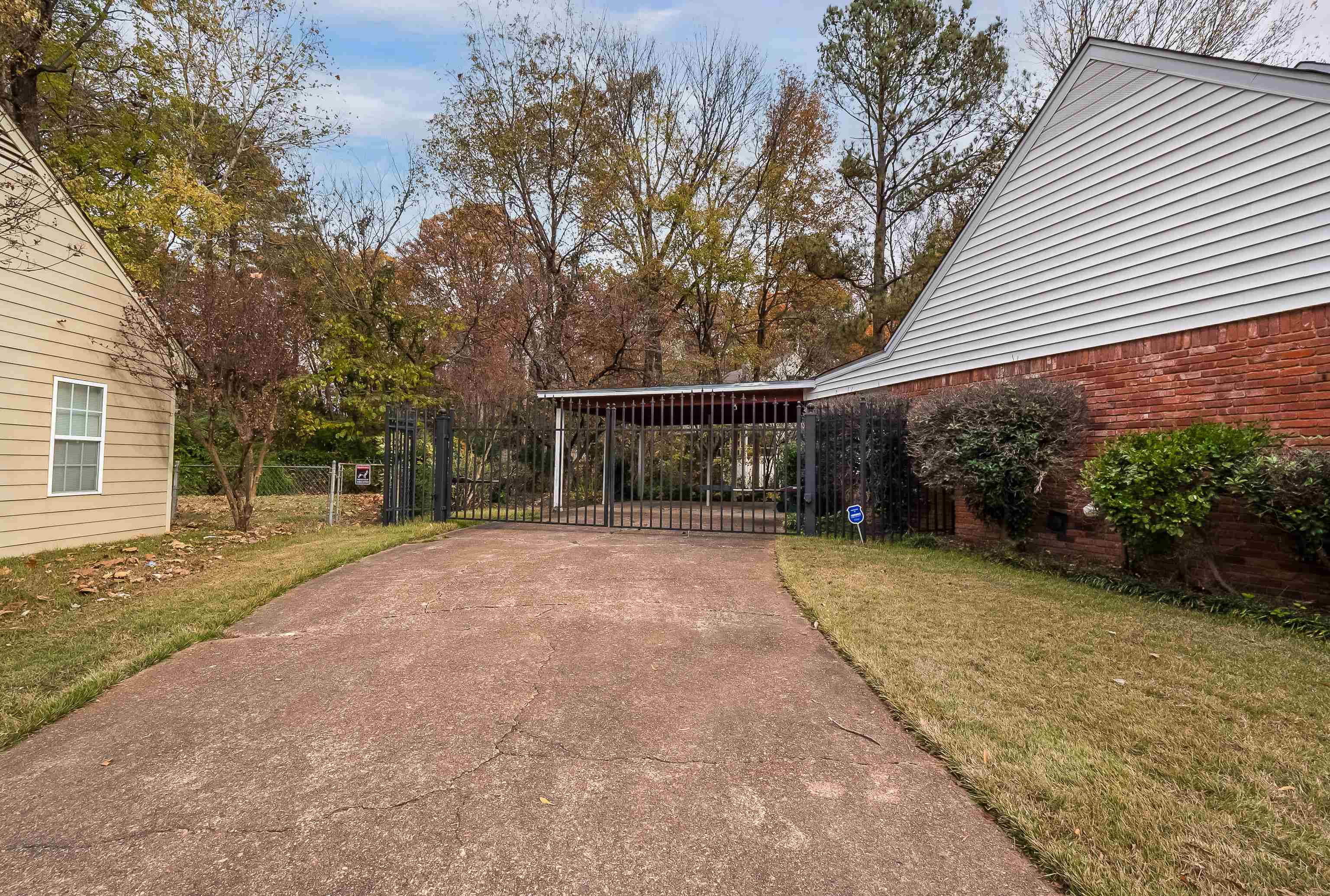 5500 Quince Road Memphis, TN 38119 - Photo 3 of 31 a view of a house with backyard and tree