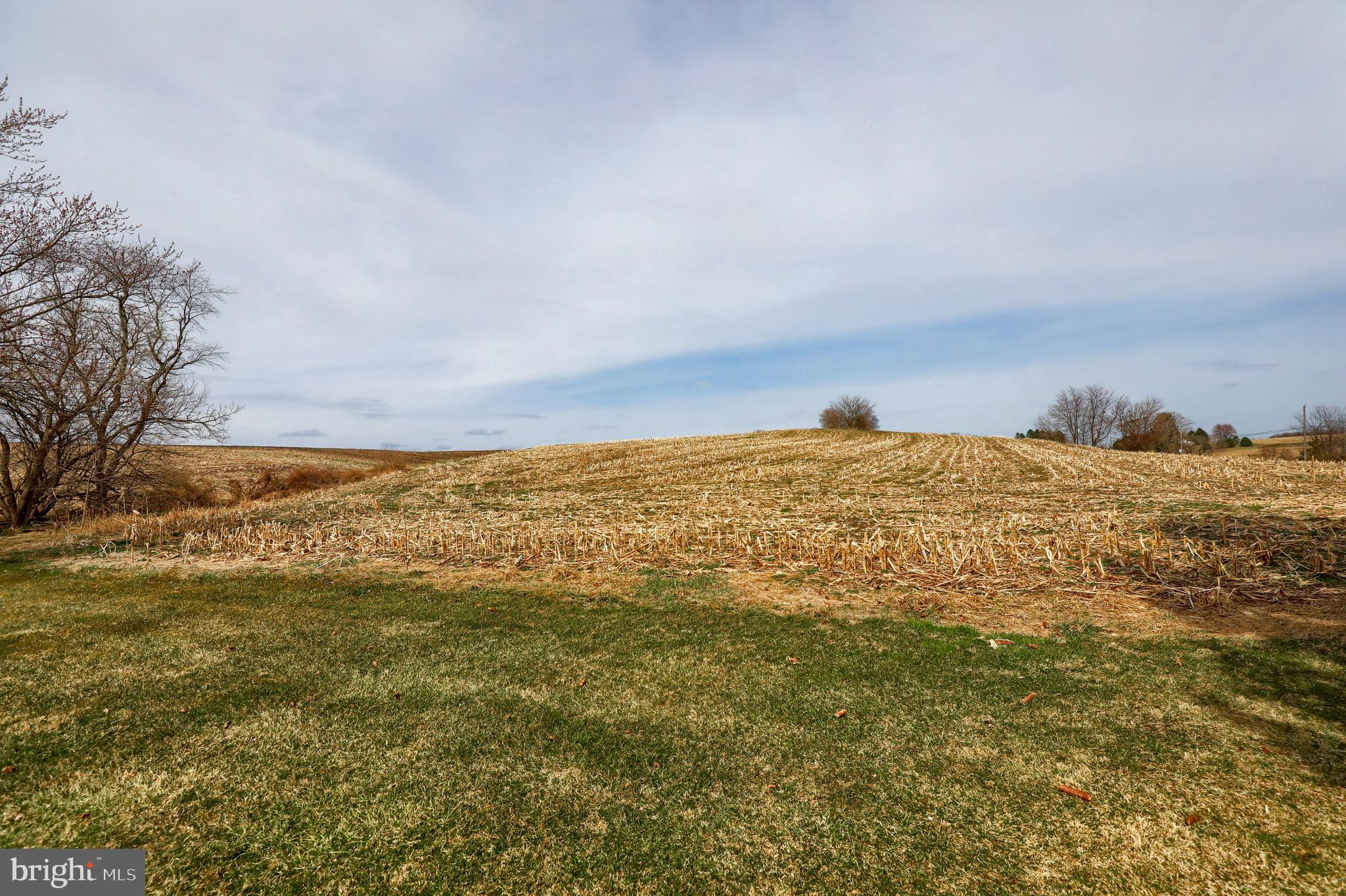 2721 Buffalo Valley Road Spring Grove, PA 17362 - Photo 9 of 44