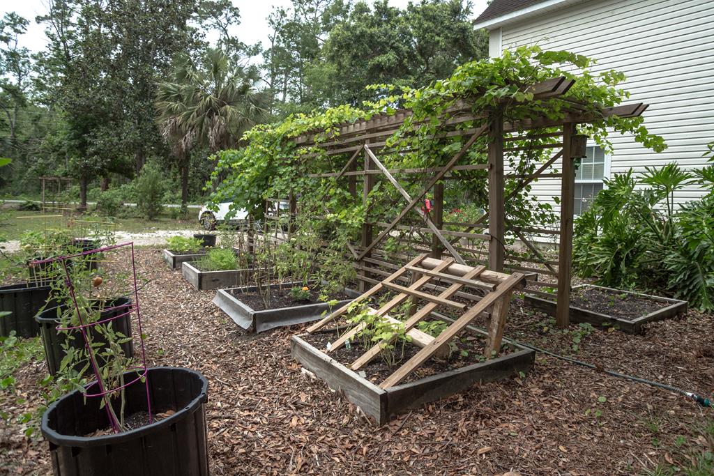 2649 Bluff Road Apalachicola, FL 32320 - Photo 6 of 41