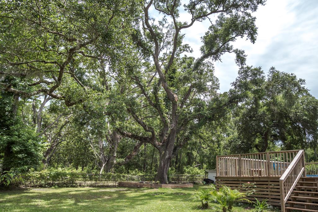 2649 Bluff Road Apalachicola, FL 32320 - Photo 7 of 41