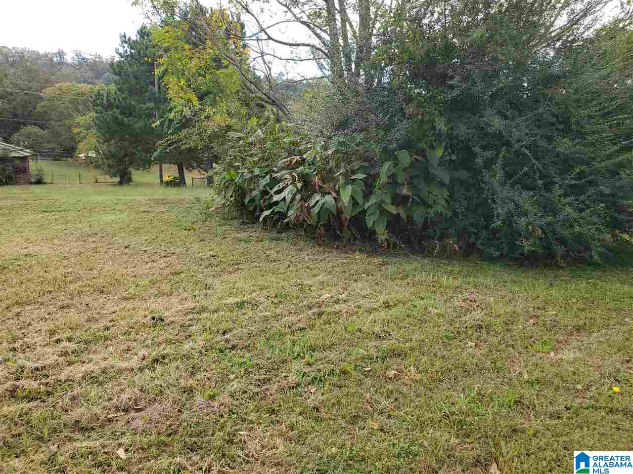 1657 Maple Avenue Southwest Birmingham, AL 35211 - Photo 8 of 39