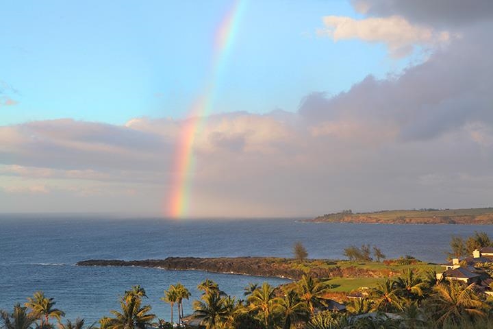 100 Ridge Road, Unit 723 Lahaina, HI 96761 - Photo 44 of 48
