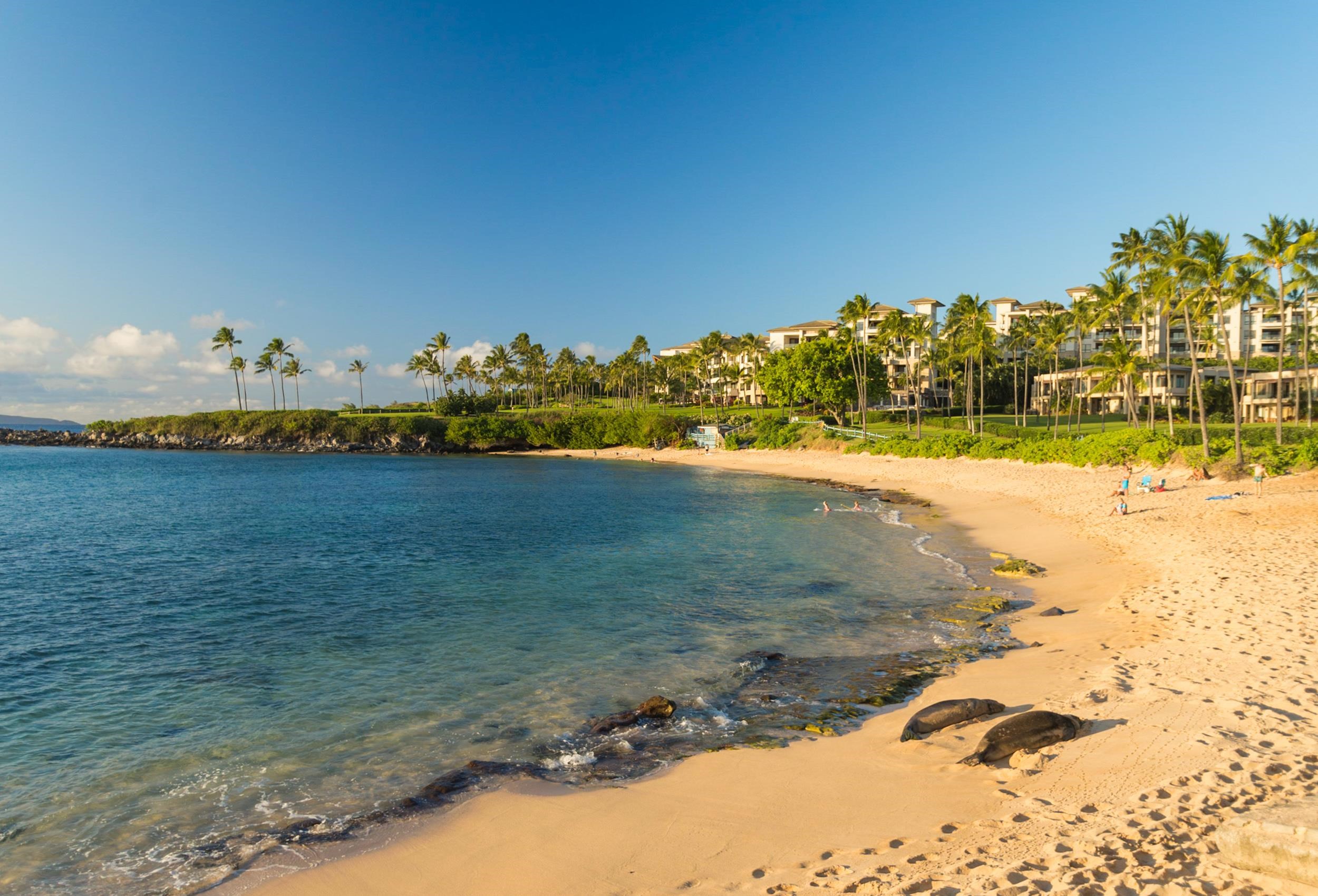 100 Ridge Road, Unit 723 Lahaina, HI 96761 - Photo 45 of 48 a view of a lake view