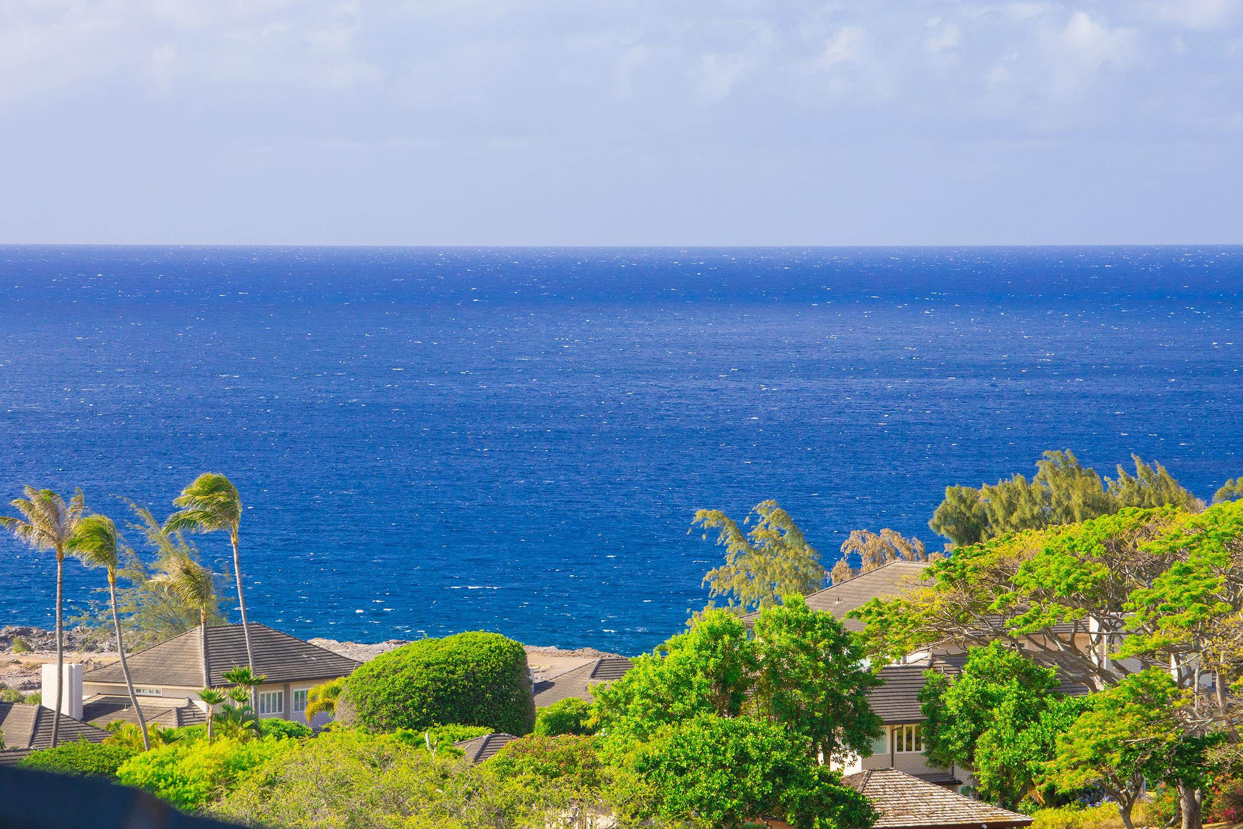 100 Ridge Road, Unit 723 Lahaina, HI 96761 - Photo 46 of 48 a view of a lake