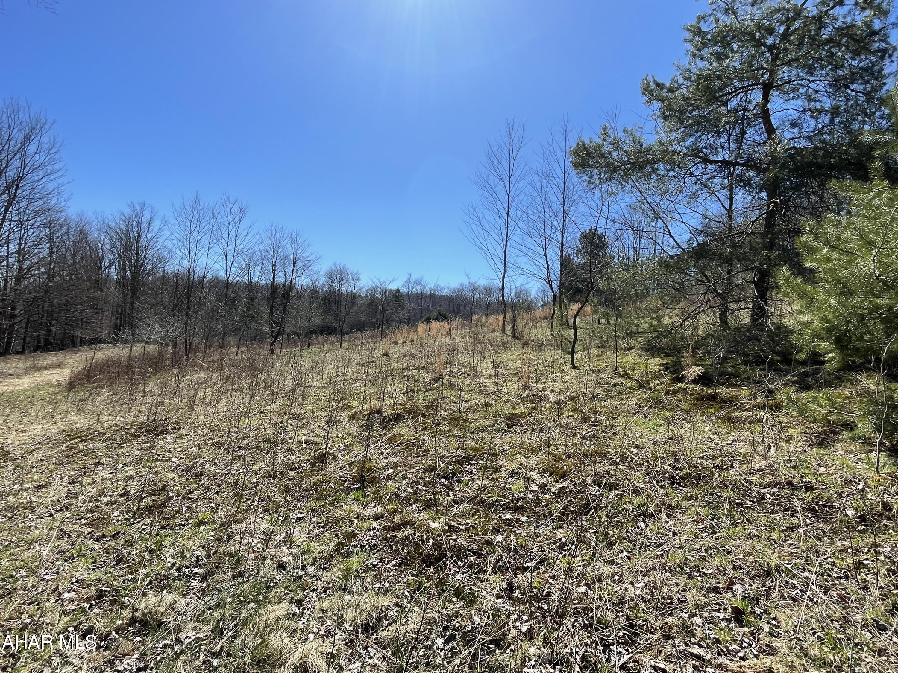 . Brick Road Ebensburg, PA 15931 - Photo 14 of 20