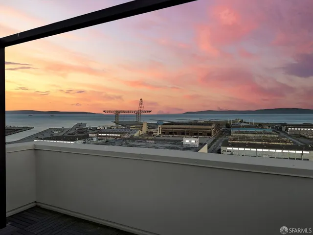 a view of a swimming pool with some plants