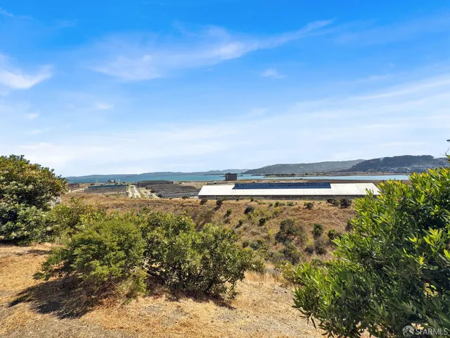 $1,050,000 | 29 Kirkwood Avenue, San Francisco, CA 94124