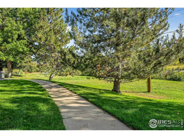 a park with lots of trees