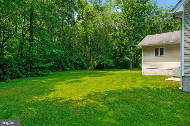 a view of backyard with green space