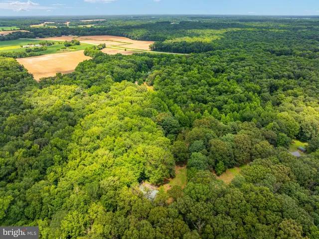 $775,000 | 26943 Fueller Drive, Marydel, MD 21649