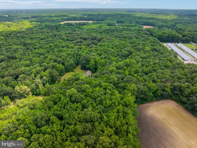 $775,000 | 26943 Fueller Drive, Marydel, MD 21649