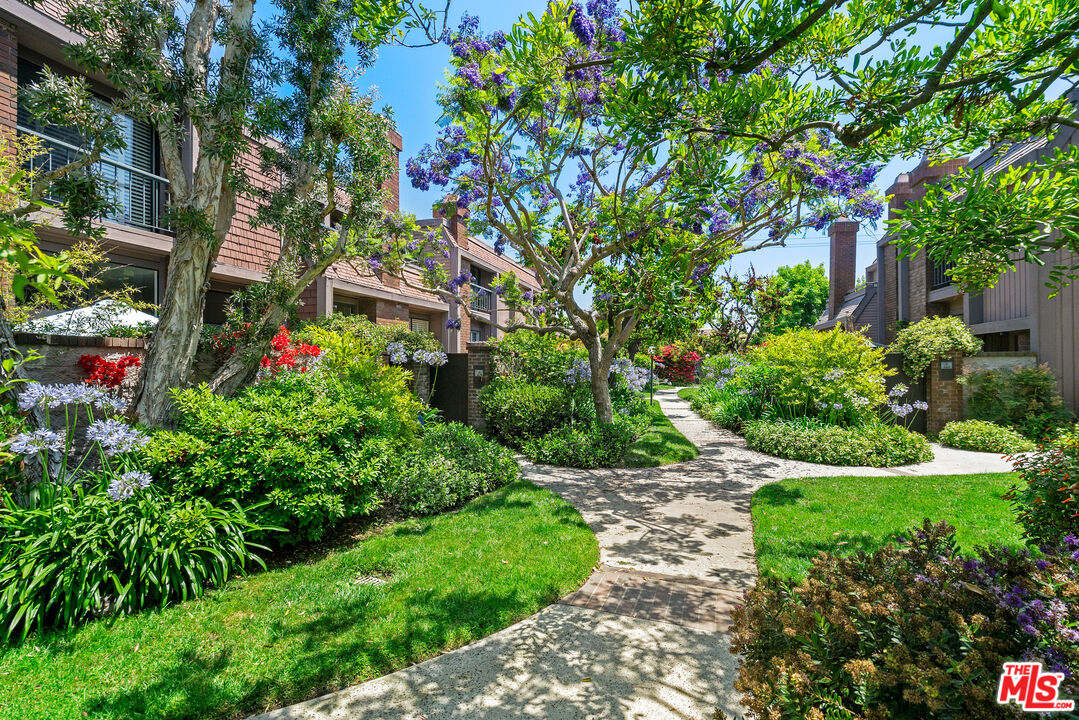 4421 Alla Road, Unit 3 Marina del Rey, CA 90292 - Photo 28 of 31 a view of a garden with plants and flowers