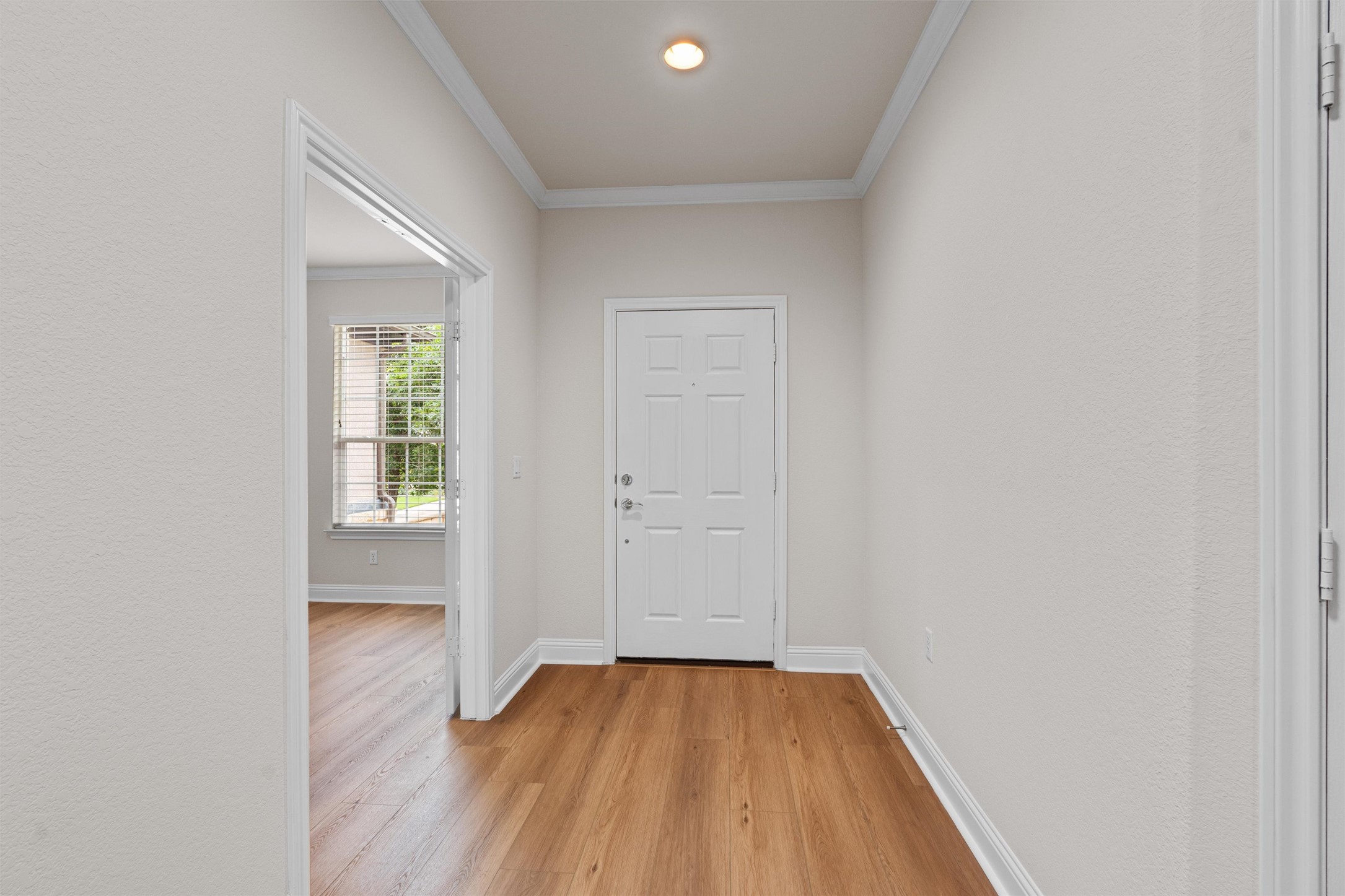 509 Davis Mountain Circle Georgetown, TX 78633 - Photo 3 of 40