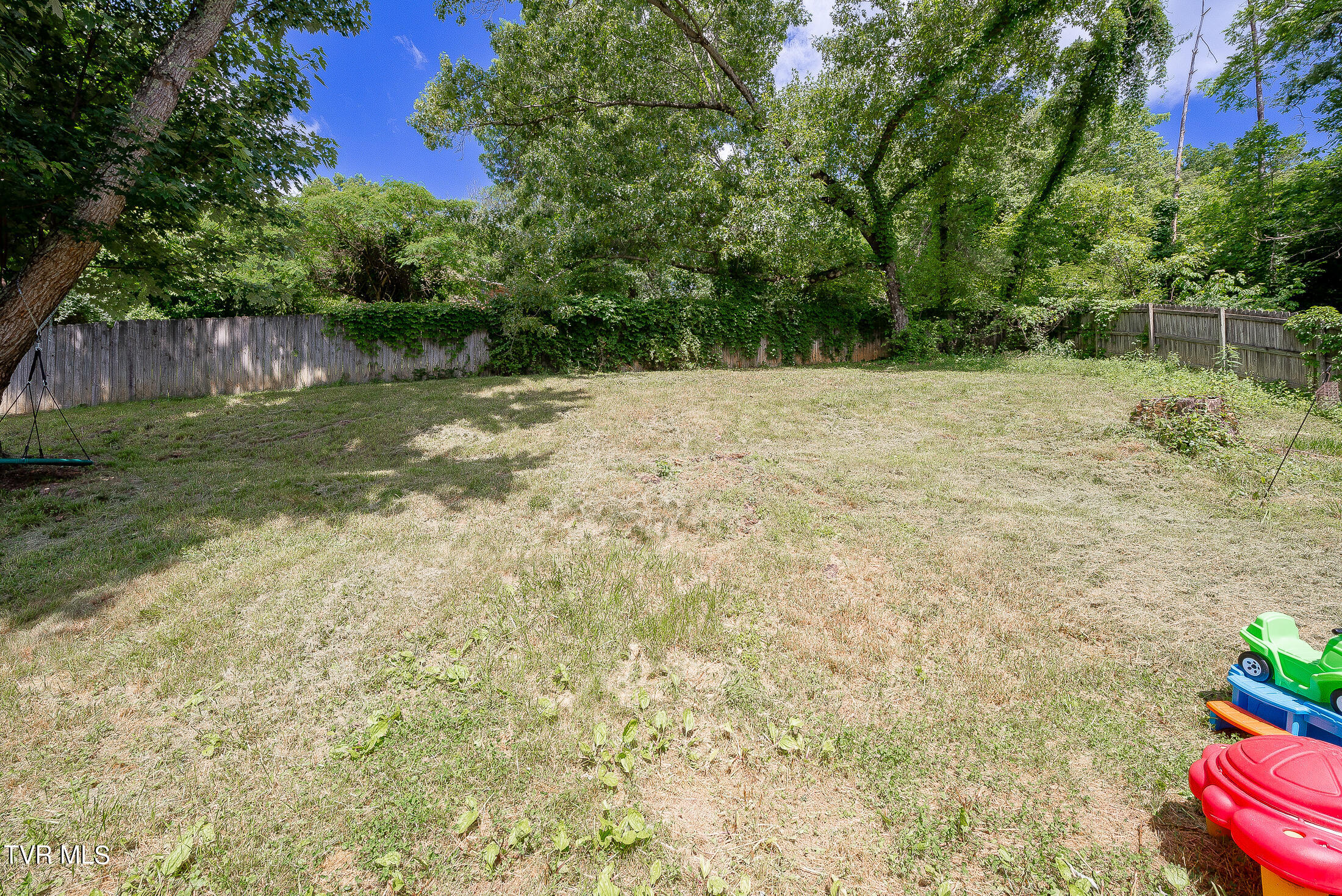 834 Foothills Road Kingsport, TN 37663 - Photo 36 of 49 Back yard