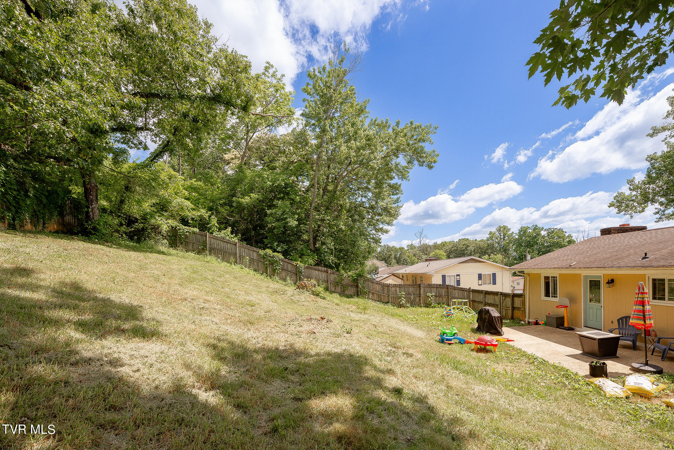 834 Foothills Road Kingsport, TN 37663 - Photo 38 of 49 Back yard
