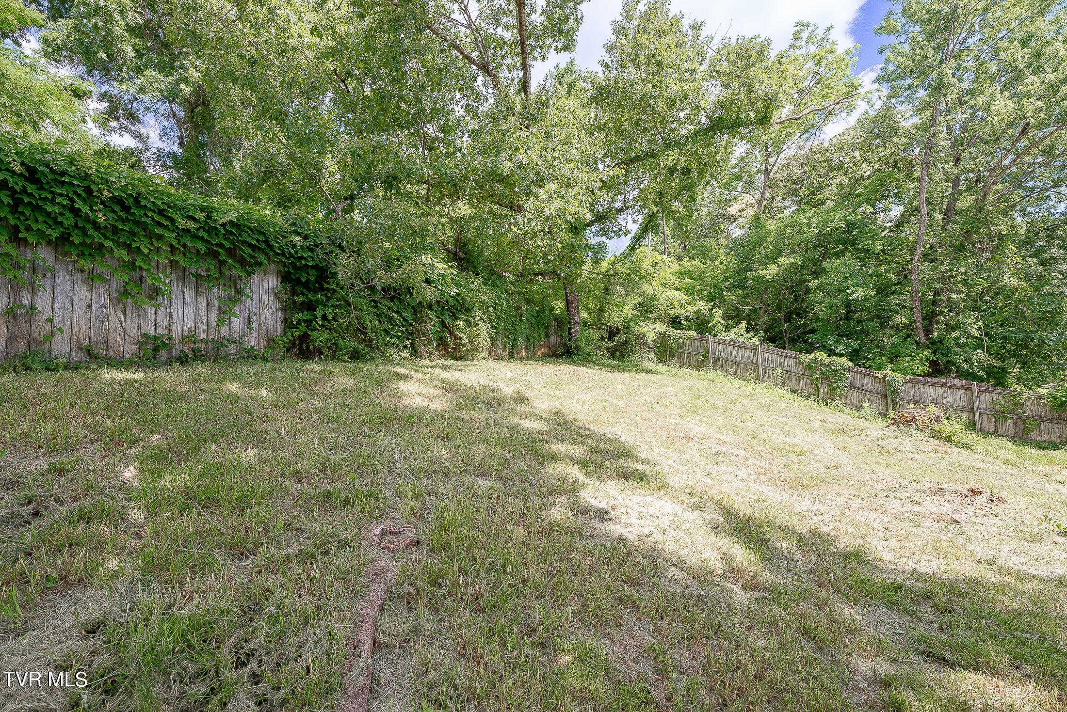 834 Foothills Road Kingsport, TN 37663 - Photo 40 of 49 back yard