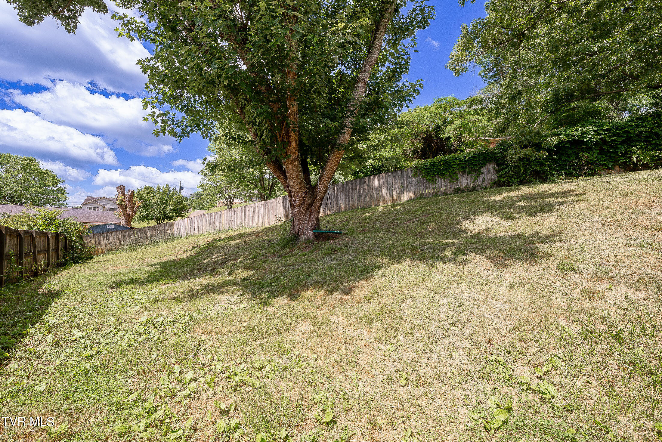 834 Foothills Road Kingsport, TN 37663 - Photo 41 of 49 back yard