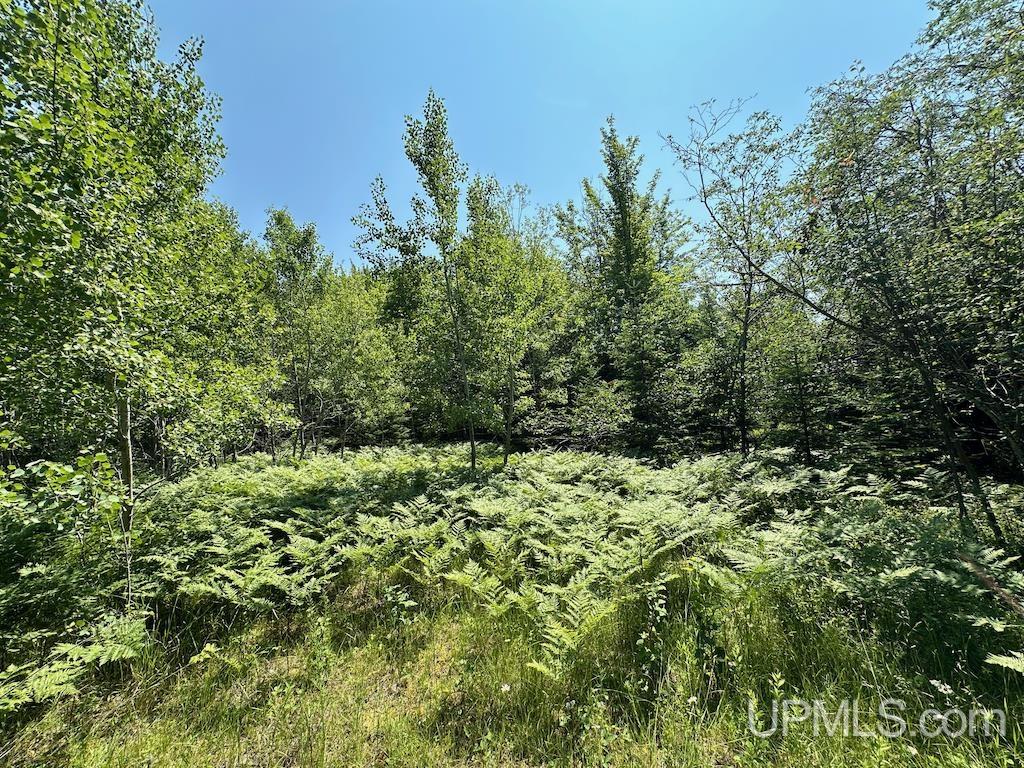 Parcel A Webb Road Grand Marais, MI 49839 - Photo 26 of 29