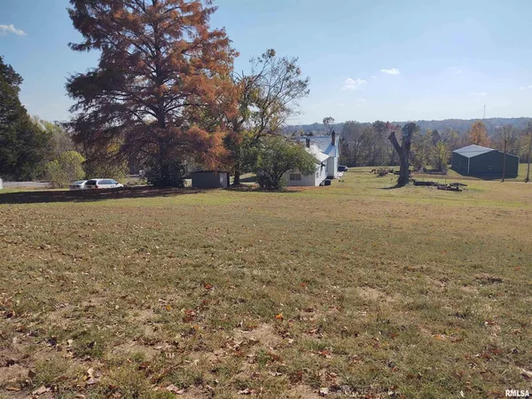 a view of a open space with lots of trees