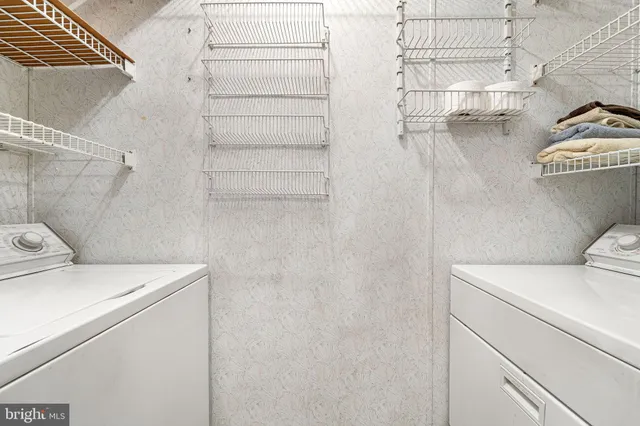 a bathroom with a shower and a toilet