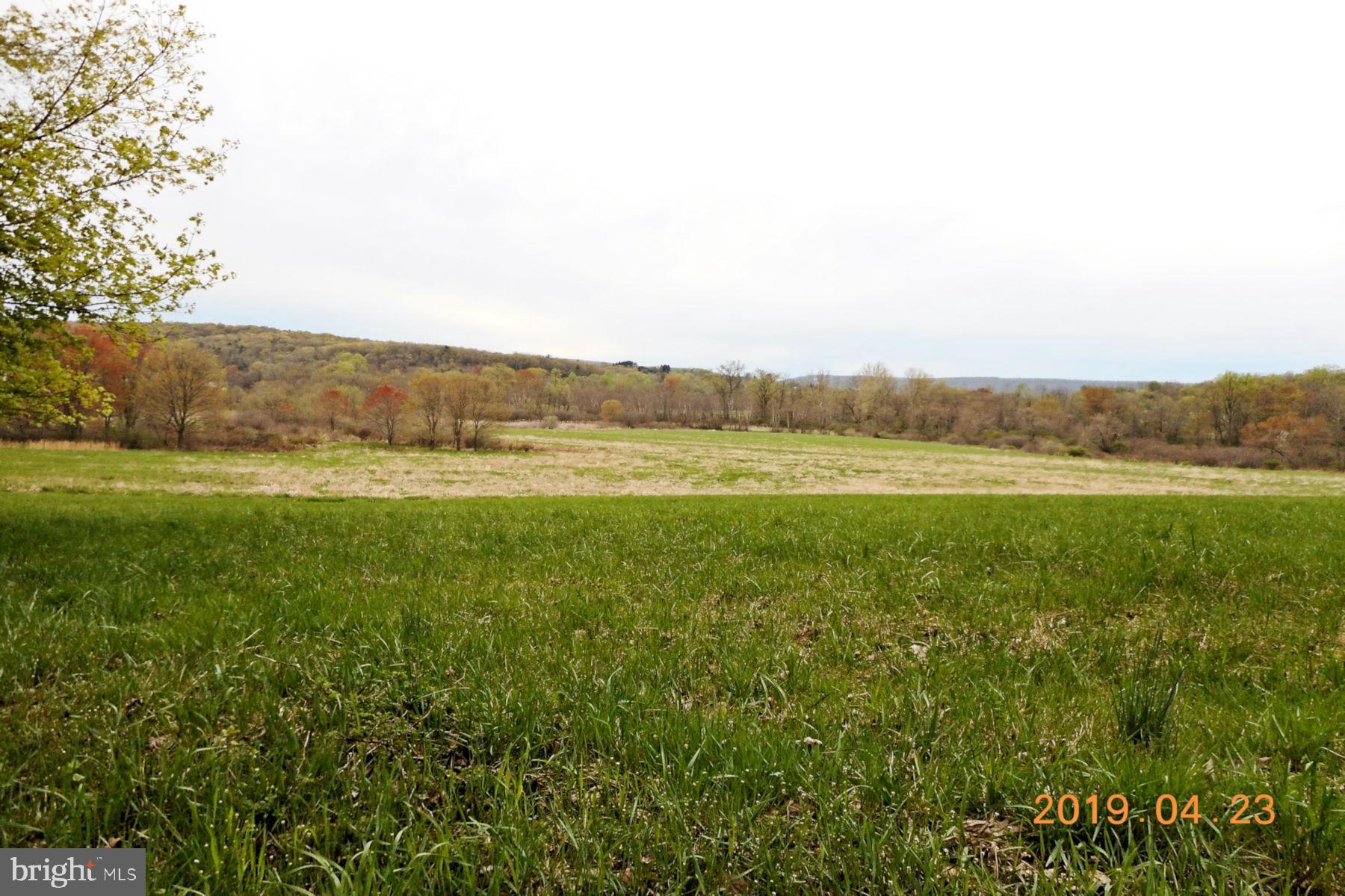 View 5