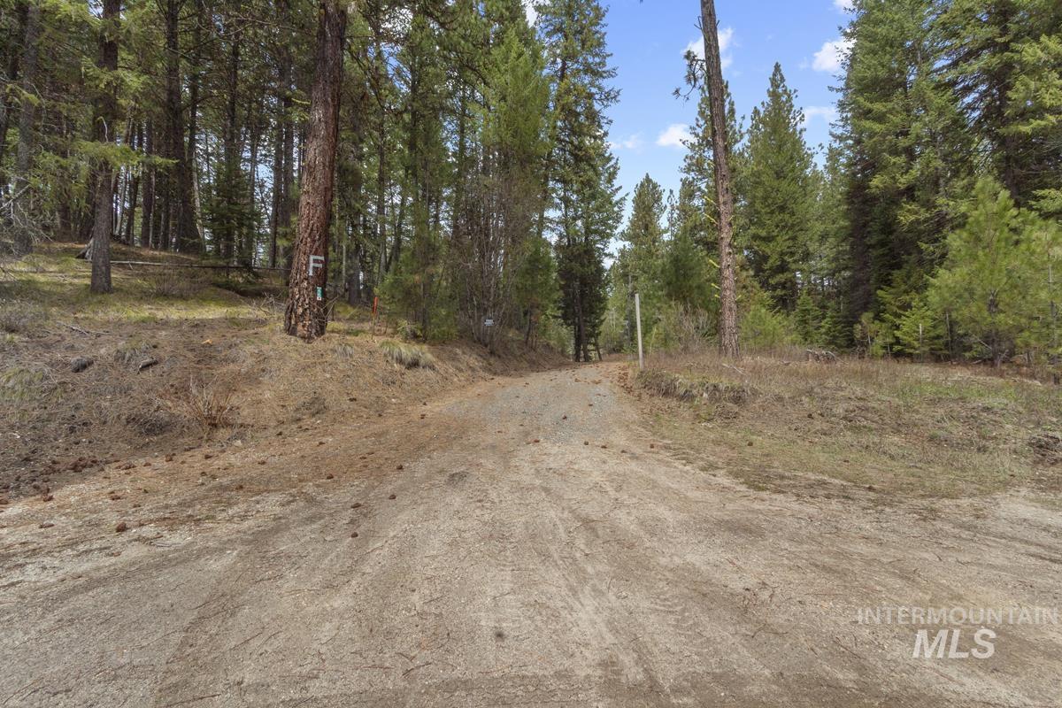 46 Blue Spruce Lane Cascade, ID 83611 - Photo 4 of 38